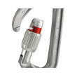 Petzl Spirit Screw Lock