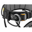 Petzl Falcon Ascent 2023